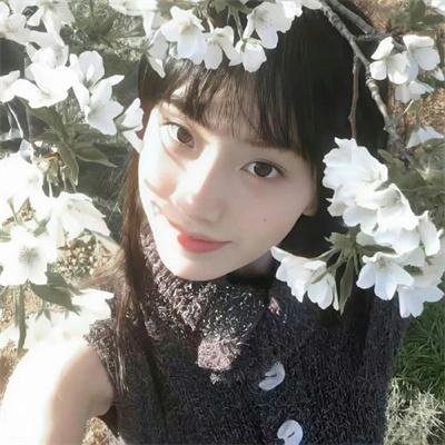 龙凤争挂帅